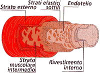 Malattia di Raynaud