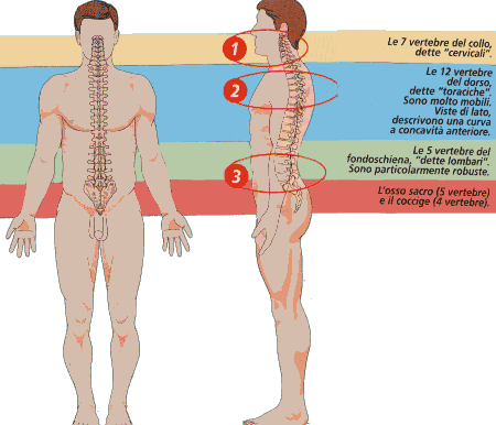Mal di schiena può essere di 6 tipi